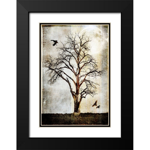 Cottonwood Tree Part 02 Black Modern Wood Framed Art Print with Double Matting by LightBoxJournal