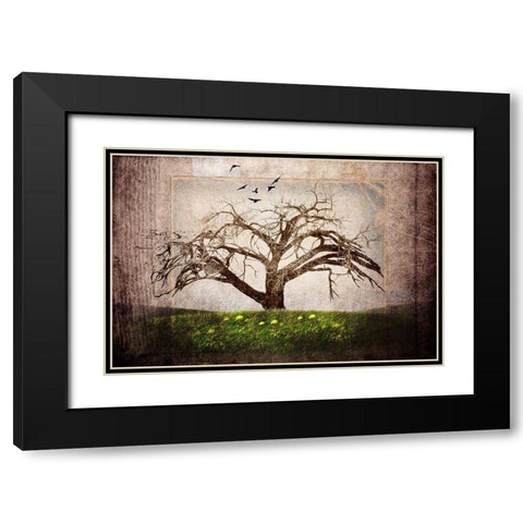 Cottonwood Tree Part 03 Black Modern Wood Framed Art Print with Double Matting by LightBoxJournal