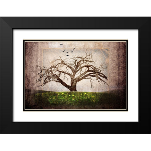 Cottonwood Tree Part 03 Black Modern Wood Framed Art Print with Double Matting by LightBoxJournal
