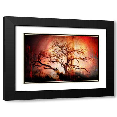 Cottonwood Tree Part 10 Black Modern Wood Framed Art Print with Double Matting by LightBoxJournal