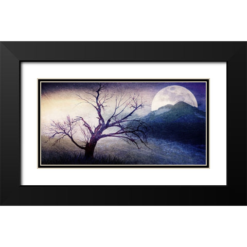Cottonwood Tree Part 11 Black Modern Wood Framed Art Print with Double Matting by LightBoxJournal