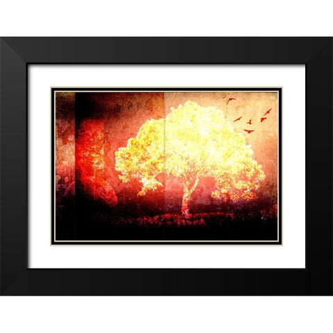 July Tree 4 Black Modern Wood Framed Art Print with Double Matting by LightBoxJournal