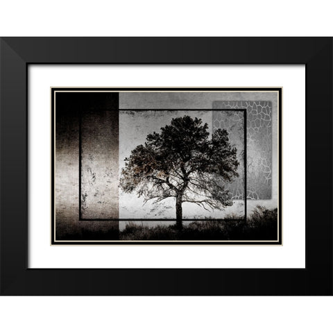 July Tree Black Modern Wood Framed Art Print with Double Matting by LightBoxJournal