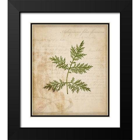 Scientific Plant 1 Black Modern Wood Framed Art Print with Double Matting by LightBoxJournal