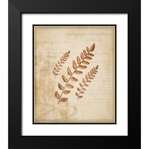 Scientific Plant 2 Black Modern Wood Framed Art Print with Double Matting by LightBoxJournal