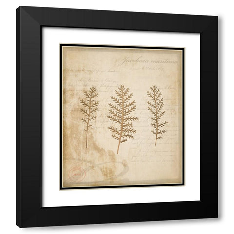 Scientific Plant 3 Black Modern Wood Framed Art Print with Double Matting by LightBoxJournal