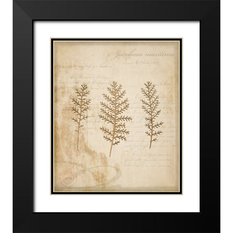 Scientific Plant 3 Black Modern Wood Framed Art Print with Double Matting by LightBoxJournal