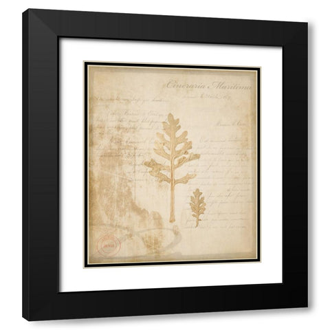 Scientific Plant 4 Black Modern Wood Framed Art Print with Double Matting by LightBoxJournal