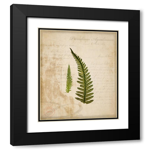 Scientific Plant 5 Black Modern Wood Framed Art Print with Double Matting by LightBoxJournal