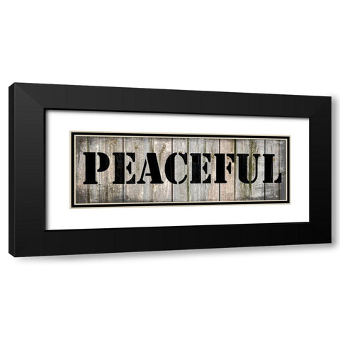 Country Sign 2 Black Modern Wood Framed Art Print with Double Matting by LightBoxJournal