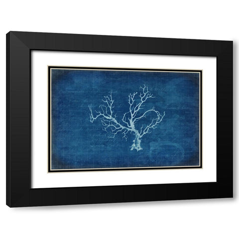 Gypsy Blue Cyanotype V1 Black Modern Wood Framed Art Print with Double Matting by LightBoxJournal