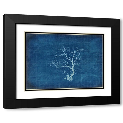 Gypsy Blue Cyanotype V2 Black Modern Wood Framed Art Print with Double Matting by LightBoxJournal