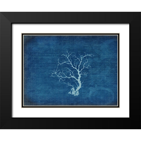 Gypsy Blue Cyanotype V2 Black Modern Wood Framed Art Print with Double Matting by LightBoxJournal