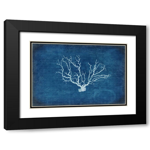 Gypsy Blue Cyanotype V3 Black Modern Wood Framed Art Print with Double Matting by LightBoxJournal
