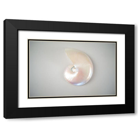 Sea Star 3 Black Modern Wood Framed Art Print with Double Matting by LightBoxJournal