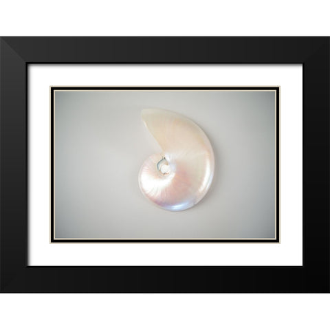 Sea Star 3 Black Modern Wood Framed Art Print with Double Matting by LightBoxJournal