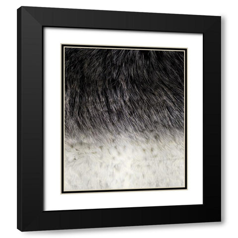 Animal_SurfacePattern V1 4 Black Modern Wood Framed Art Print with Double Matting by LightBoxJournal