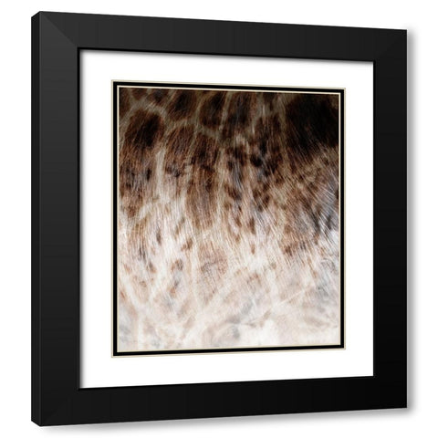 Animal_SurfacePattern V1 9 Black Modern Wood Framed Art Print with Double Matting by LightBoxJournal