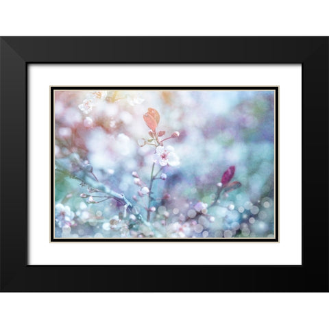 Cherry Blu 01 Black Modern Wood Framed Art Print with Double Matting by LightBoxJournal
