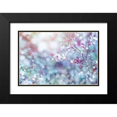 Cherry Blu 02 Black Modern Wood Framed Art Print with Double Matting by LightBoxJournal