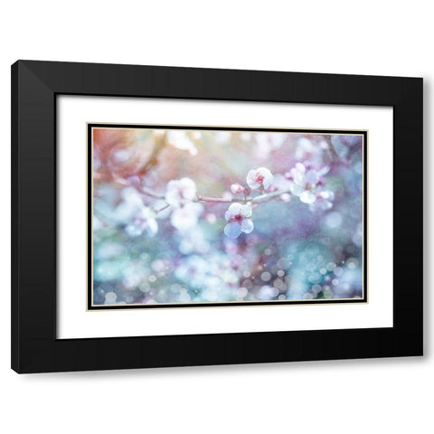 Cherry Blu 04 Black Modern Wood Framed Art Print with Double Matting by LightBoxJournal