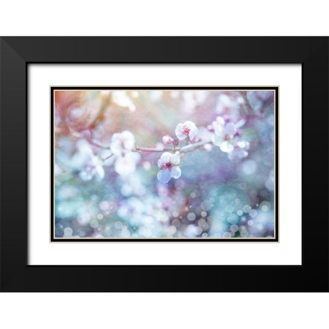 Cherry Blu 04 Black Modern Wood Framed Art Print with Double Matting by LightBoxJournal