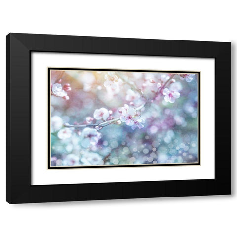Cherry Blu 05 Black Modern Wood Framed Art Print with Double Matting by LightBoxJournal