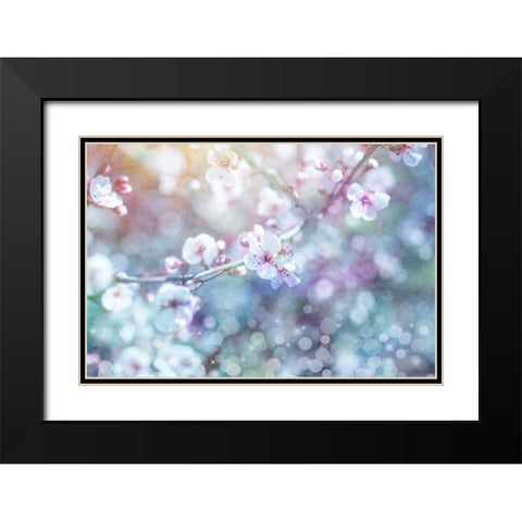 Cherry Blu 05 Black Modern Wood Framed Art Print with Double Matting by LightBoxJournal