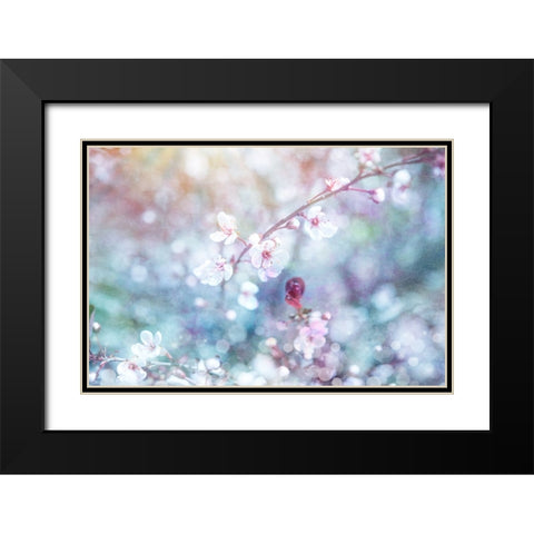 Cherry Blu 06 Black Modern Wood Framed Art Print with Double Matting by LightBoxJournal