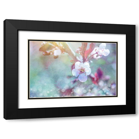 Cherry Blu 07 Black Modern Wood Framed Art Print with Double Matting by LightBoxJournal