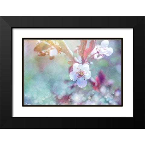 Cherry Blu 07 Black Modern Wood Framed Art Print with Double Matting by LightBoxJournal