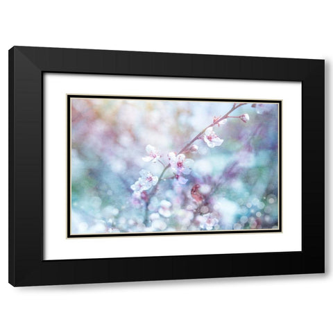 Cherry Blu 08 Black Modern Wood Framed Art Print with Double Matting by LightBoxJournal