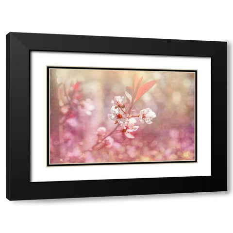 Gypsy Cherry 04 Black Modern Wood Framed Art Print with Double Matting by LightBoxJournal