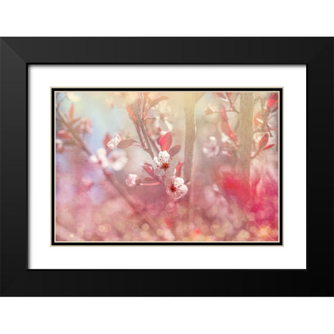 Gypsy Cherry 05 Black Modern Wood Framed Art Print with Double Matting by LightBoxJournal