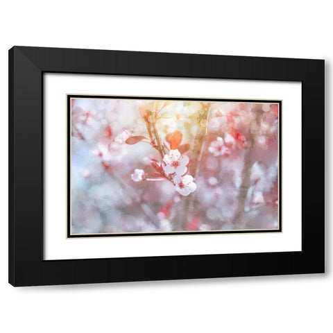 Spring Blooms 03 Black Modern Wood Framed Art Print with Double Matting by LightBoxJournal