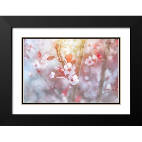 Spring Blooms 03 Black Modern Wood Framed Art Print with Double Matting by LightBoxJournal
