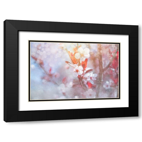 Spring Blooms 05 Black Modern Wood Framed Art Print with Double Matting by LightBoxJournal