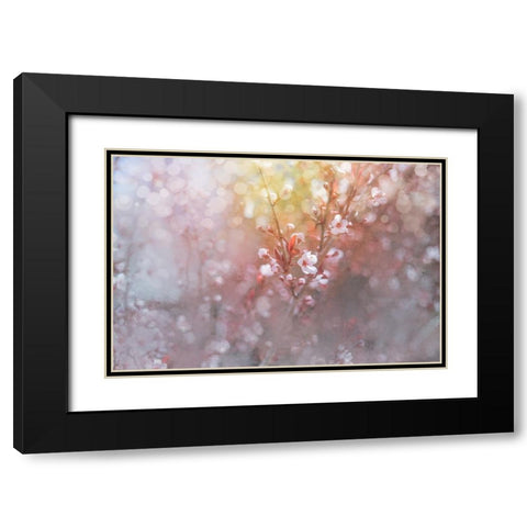 Spring Blooms 07 Black Modern Wood Framed Art Print with Double Matting by LightBoxJournal