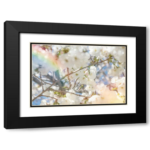 White Spring Blossoms 09 Black Modern Wood Framed Art Print with Double Matting by LightBoxJournal