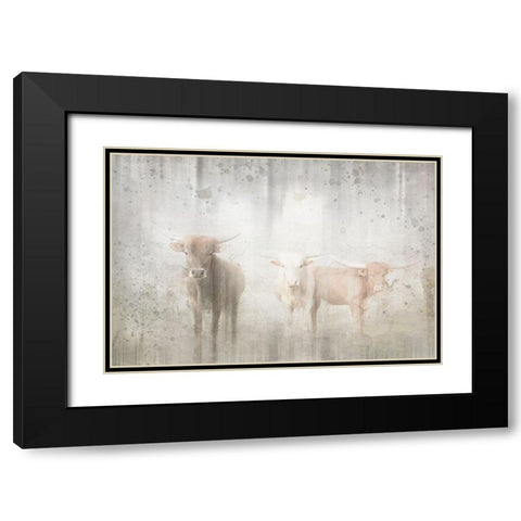 Antique Farm 08 Black Modern Wood Framed Art Print with Double Matting by LightBoxJournal