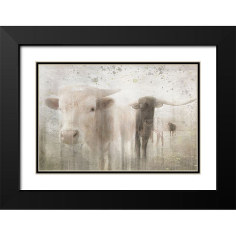 Antique Farm 17 Black Modern Wood Framed Art Print with Double Matting by LightBoxJournal