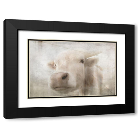 Antique Farm 18 Black Modern Wood Framed Art Print with Double Matting by LightBoxJournal
