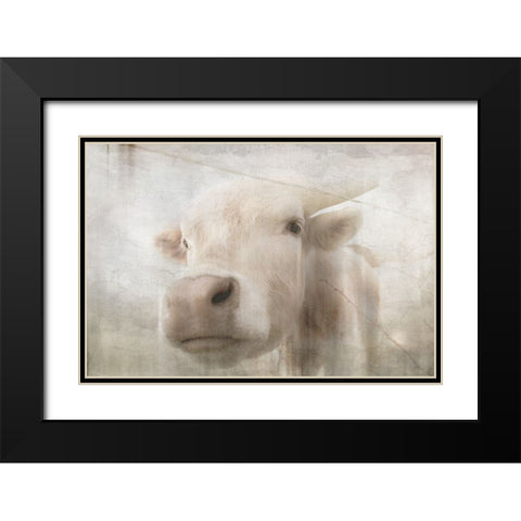 Antique Farm 18 Black Modern Wood Framed Art Print with Double Matting by LightBoxJournal