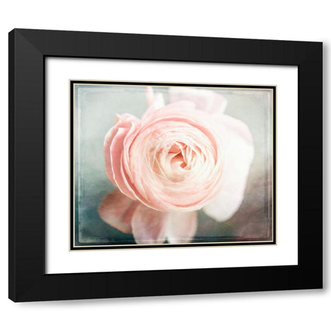Peony 02 Black Modern Wood Framed Art Print with Double Matting by LightBoxJournal