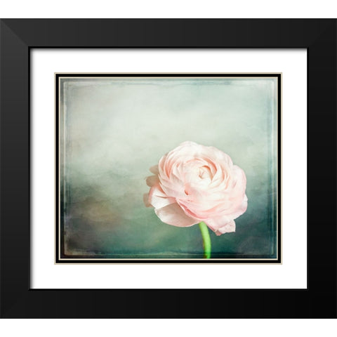 Peony 03 Black Modern Wood Framed Art Print with Double Matting by LightBoxJournal