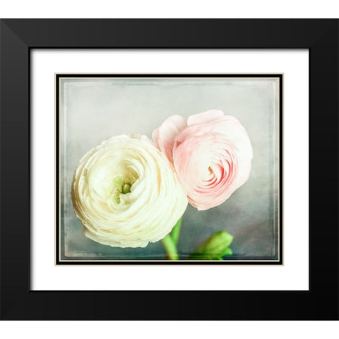 Peony 06 Black Modern Wood Framed Art Print with Double Matting by LightBoxJournal