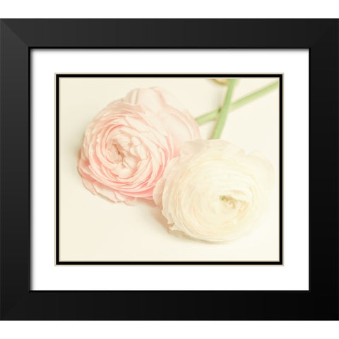 Peony A3 Black Modern Wood Framed Art Print with Double Matting by LightBoxJournal