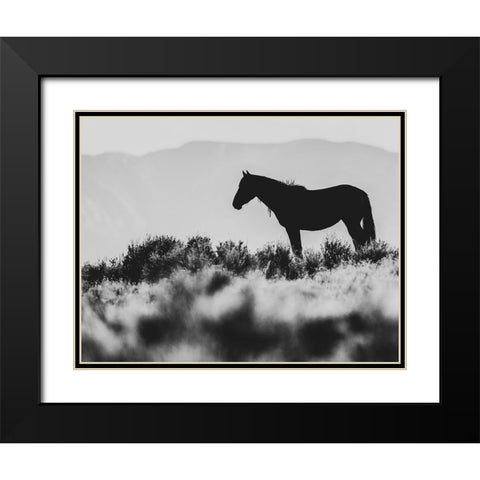 Wild Horses of the Great Basin 02 Black Modern Wood Framed Art Print with Double Matting by LightBoxJournal
