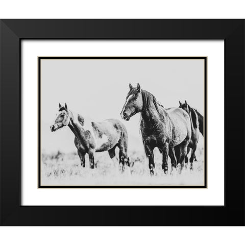 Wild Horses of the Great Basin 04 Black Modern Wood Framed Art Print with Double Matting by LightBoxJournal
