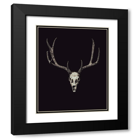 The Rustic Antler 04 Black Modern Wood Framed Art Print with Double Matting by LightBoxJournal